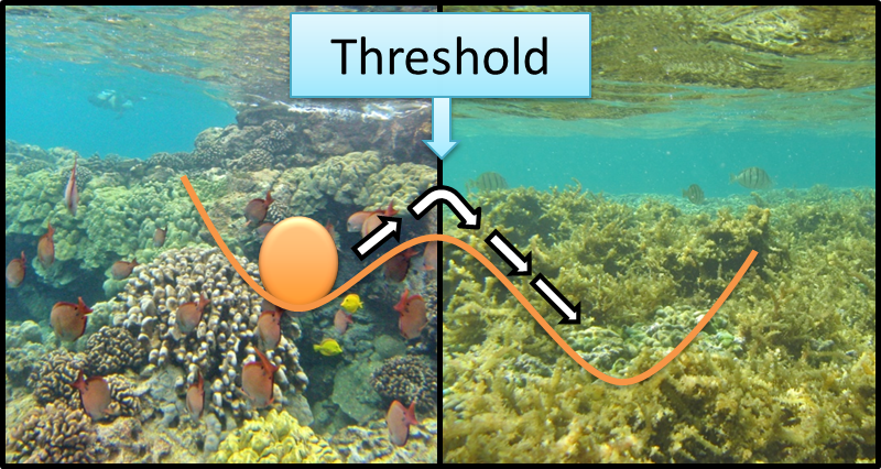 ecosystem threshold